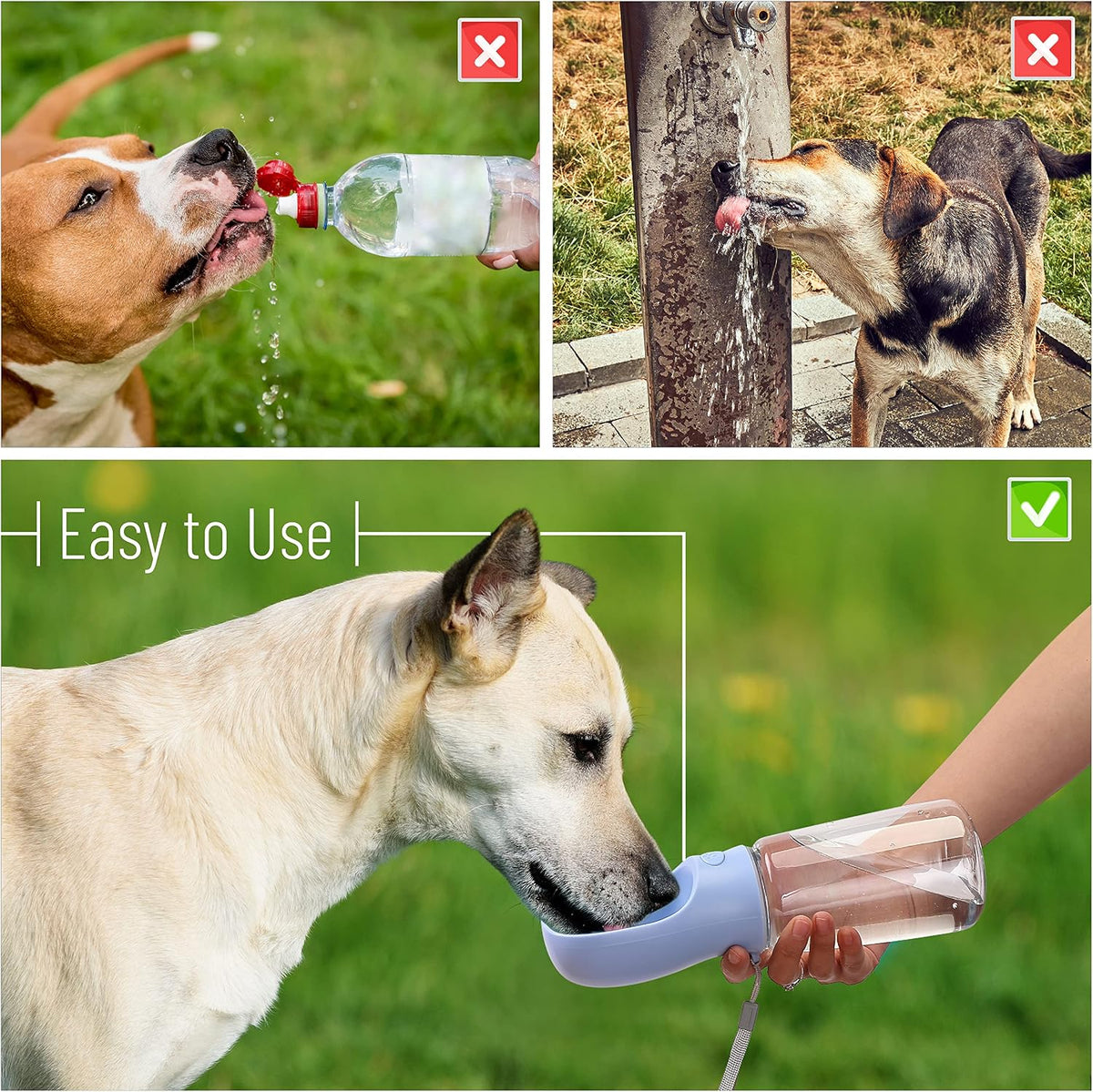 - Portable Dog Water Bottle, 19 Oz, Large