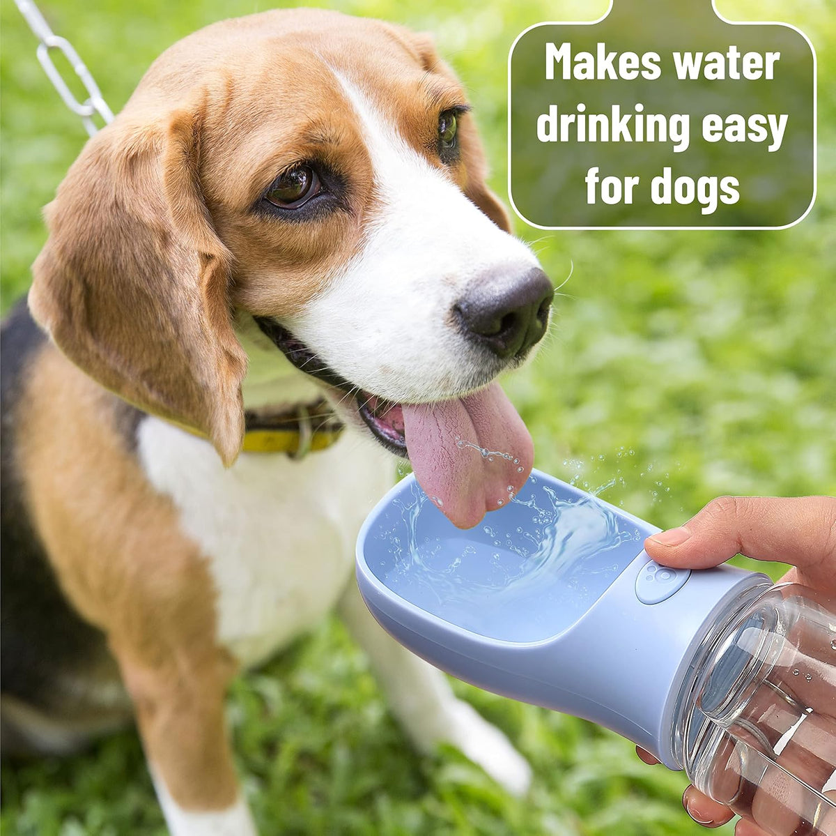 - Portable Dog Water Bottle, 19 Oz, Large