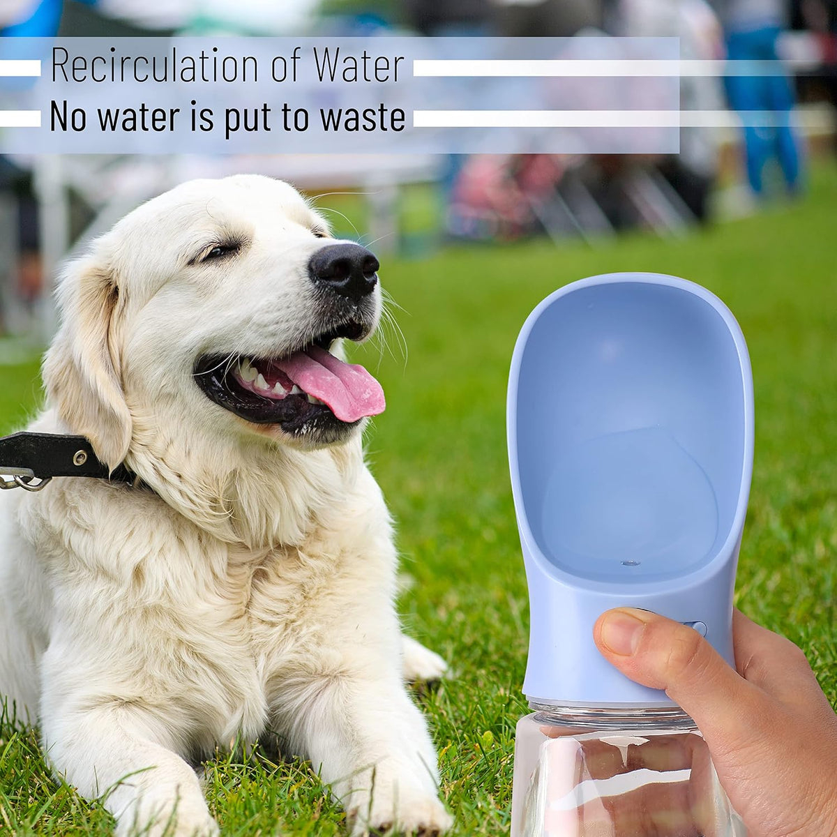 - Portable Dog Water Bottle, 19 Oz, Large