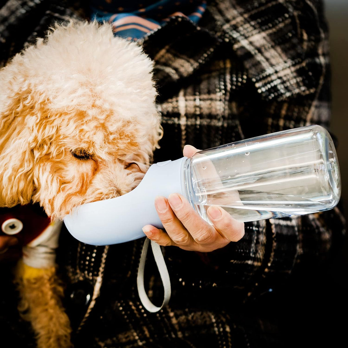 - Portable Dog Water Bottle, 19 Oz, Large